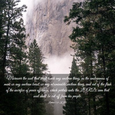 Picture 03 - Leviticus 7:21 KJV - Moreover the soul that shall touch any unclean - Bible Verse Picture