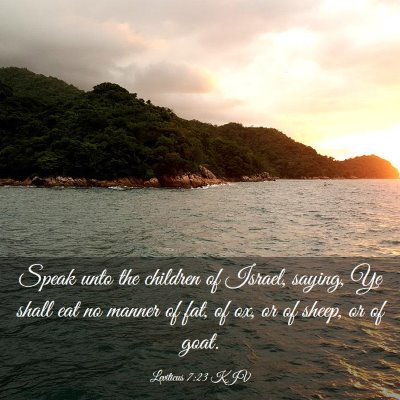 Picture 03 - Leviticus 7:23 KJV - Speak unto the children of Israel, saying, Ye - Bible Verse Picture
