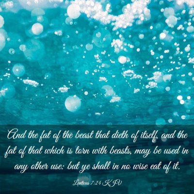 Picture 03 - Leviticus 7:24 KJV - And the fat of the beast that dieth of itself, - Bible Verse Picture