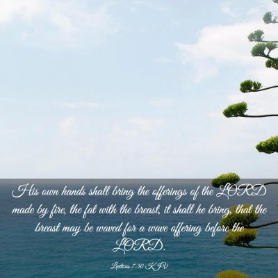 Picture 03 - Leviticus 7:30 KJV - His own hands shall bring the offerings of the - Bible Verse Picture