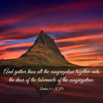 Picture 03 - Leviticus 8:3 KJV - And gather thou all the congregation together - Bible Verse Picture