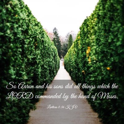 Picture 03 - Leviticus 8:36 KJV - So Aaron and his sons did all things which the - Bible Verse Picture