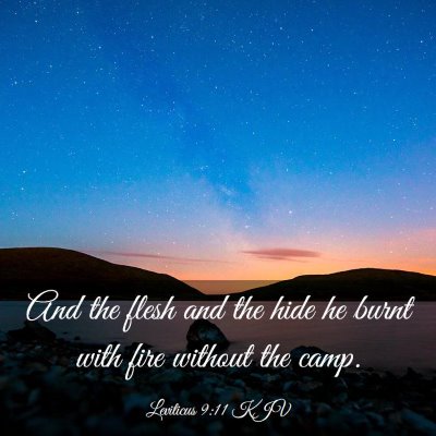 Picture 03 - Leviticus 9:11 KJV - And the flesh and the hide he burnt with fire - Bible Verse Picture