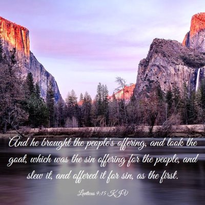 Picture 03 - Leviticus 9:15 KJV - And he brought the people's offering, and took - Bible Verse Picture