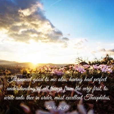 Picture 03 - Luke 1:3 KJV - It seemed good to me also, having had perfect - Bible Verse Picture