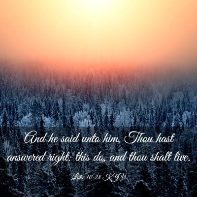 Picture 03 - Luke 10:28 KJV - And he said unto him, Thou hast answered right: - Bible Verse Picture