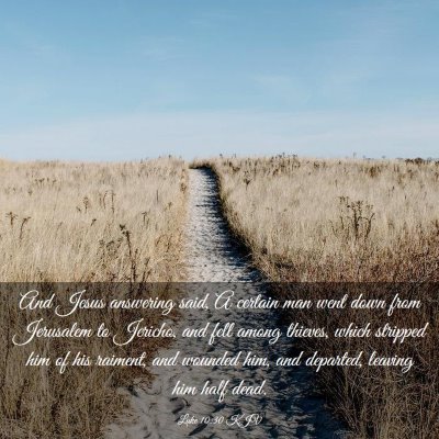 Picture 03 - Luke 10:30 KJV - And Jesus answering said, A certain man went down - Bible Verse Picture