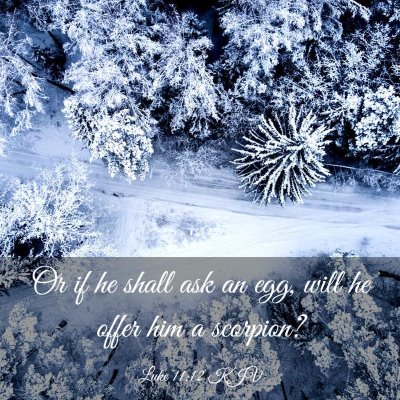 Picture 03 - Luke 11:12 KJV - Or if he shall ask an egg, will he offer him a - Bible Verse Picture