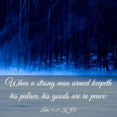 Picture 03 - Luke 11:21 KJV - When a strong man armed keepeth his palace, his - Bible Verse Picture