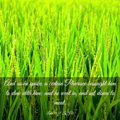 Picture 03 - Luke 11:37 KJV - And as he spake, a certain Pharisee besought him - Bible Verse Picture