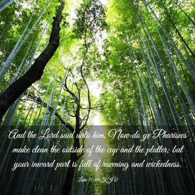 Picture 03 - Luke 11:39 KJV - And the Lord said unto him, Now do ye Pharisees - Bible Verse Picture