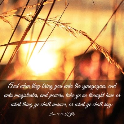 Picture 03 - Luke 12:11 KJV - And when they bring you unto the synagogues, and - Bible Verse Picture