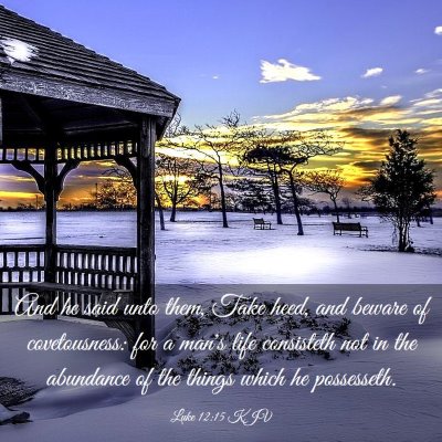 Picture 03 - Luke 12:15 KJV - And he said unto them, Take heed, and beware of - Bible Verse Picture