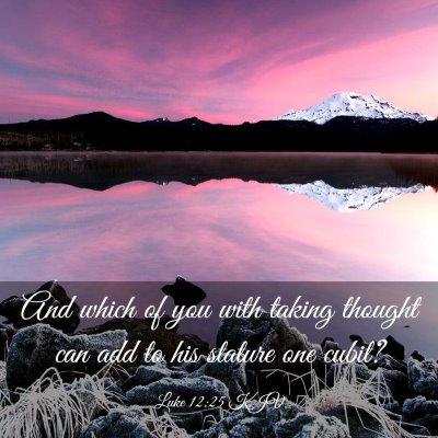 Picture 03 - Luke 12:25 KJV - And which of you with taking thought can add to - Bible Verse Picture