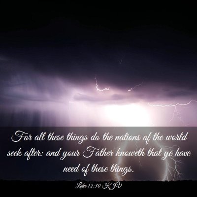 Picture 03 - Luke 12:30 KJV - For all these things do the nations of the world - Bible Verse Picture