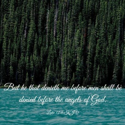 Picture 03 - Luke 12:9 KJV - But he that denieth me before men shall be denied - Bible Verse Picture