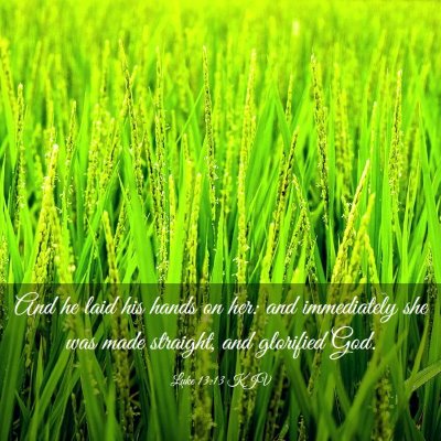 Picture 03 - Luke 13:13 KJV - And he laid his hands on her: and immediately she - Bible Verse Picture