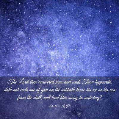 Picture 03 - Luke 13:15 KJV - The Lord then answered him, and said, Thou - Bible Verse Picture