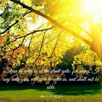 Picture 03 - Luke 13:24 KJV - Strive to enter in at the strait gate: for many, - Bible Verse Picture