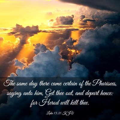 Picture 03 - Luke 13:31 KJV - The same day there came certain of the Pharisees, - Bible Verse Picture