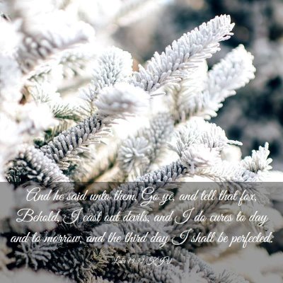 Picture 03 - Luke 13:32 KJV - And he said unto them, Go ye, and tell that fox, - Bible Verse Picture