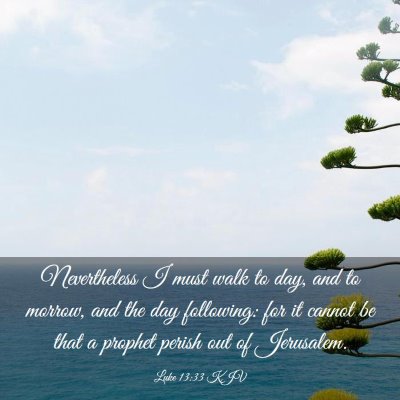 Picture 03 - Luke 13:33 KJV - Nevertheless I must walk to day, and to morrow, - Bible Verse Picture