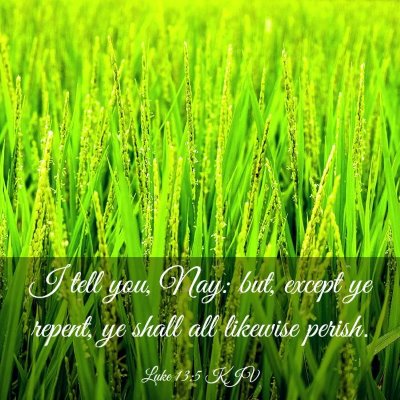Picture 03 - Luke 13:5 KJV - I tell you, Nay: but, except ye repent, ye shall - Bible Verse Picture