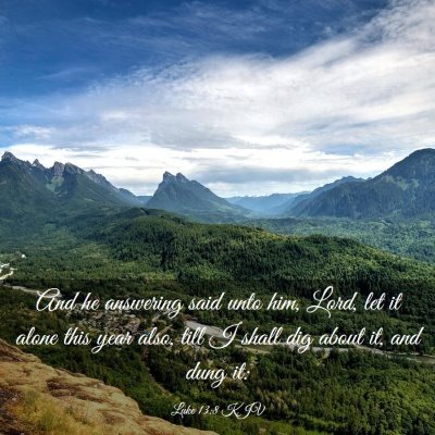 Picture 03 - Luke 13:8 KJV - And he answering said unto him, Lord, let it - Bible Verse Picture