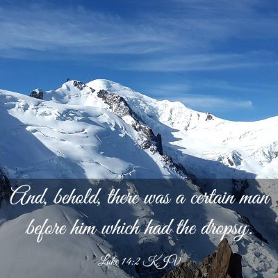 Picture 03 - Luke 14:2 KJV - And, behold, there was a certain man before him - Bible Verse Picture