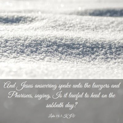 Picture 03 - Luke 14:3 KJV - And Jesus answering spake unto the lawyers and - Bible Verse Picture
