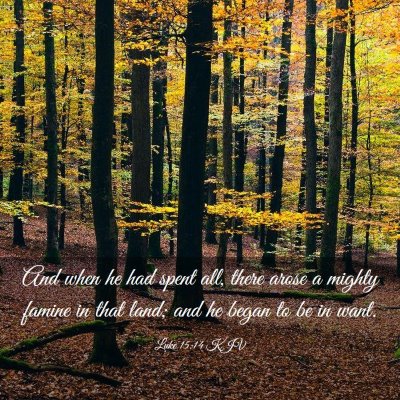 Picture 03 - Luke 15:14 KJV - And when he had spent all, there arose a mighty - Bible Verse Picture