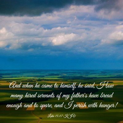 Picture 03 - Luke 15:17 KJV - And when he came to himself, he said, How many - Bible Verse Picture