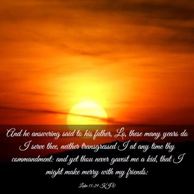 Picture 03 - Luke 15:29 KJV - And he answering said to his father, Lo, these - Bible Verse Picture