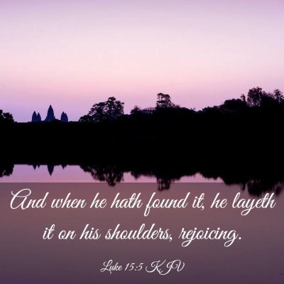 Picture 03 - Luke 15:5 KJV - And when he hath found it, he layeth it on his - Bible Verse Picture