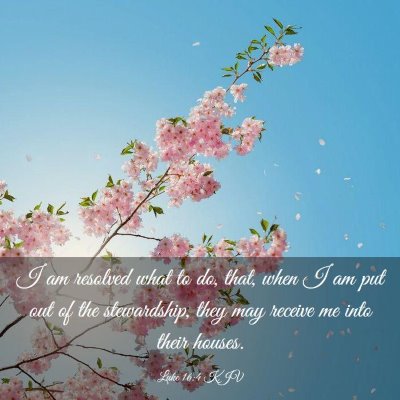 Picture 03 - Luke 16:4 KJV - I am resolved what to do, that, when I am put out - Bible Verse Picture