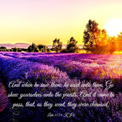 Picture 03 - Luke 17:14 KJV - And when he saw them, he said unto them, Go shew - Bible Verse Picture