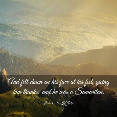 Picture 03 - Luke 17:16 KJV - And fell down on his face at his feet, giving him - Bible Verse Picture