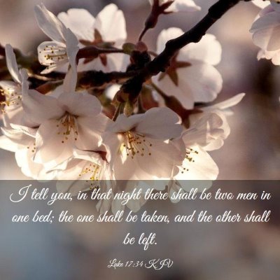 Picture 03 - Luke 17:34 KJV - I tell you, in that night there shall be two men - Bible Verse Picture