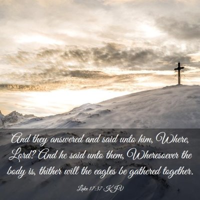 Picture 03 - Luke 17:37 KJV - And they answered and said unto him, Where, Lord? - Bible Verse Picture