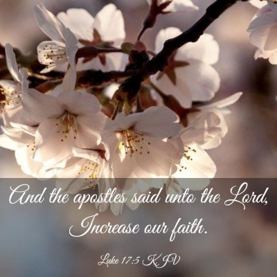 Picture 03 - Luke 17:5 KJV - And the apostles said unto the Lord, Increase our - Bible Verse Picture