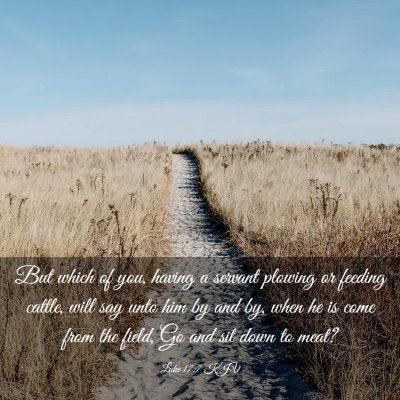Picture 03 - Luke 17:7 KJV - But which of you, having a servant plowing or - Bible Verse Picture