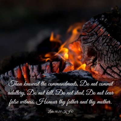 Picture 03 - Luke 18:20 KJV - Thou knowest the commandments, Do not commit - Bible Verse Picture