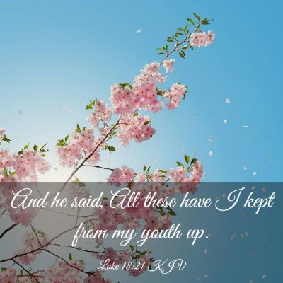 Picture 03 - Luke 18:21 KJV - And he said, All these have I kept from my youth - Bible Verse Picture