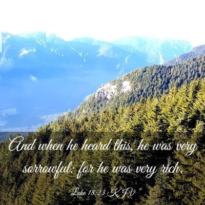 Picture 03 - Luke 18:23 KJV - And when he heard this, he was very sorrowful: - Bible Verse Picture