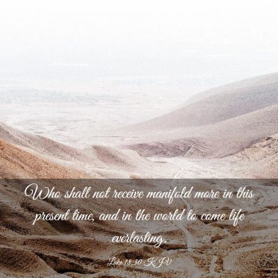 Picture 03 - Luke 18:30 KJV - Who shall not receive manifold more in this - Bible Verse Picture