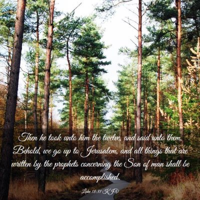 Picture 03 - Luke 18:31 KJV - Then he took unto him the twelve, and said unto - Bible Verse Picture