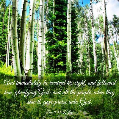 Picture 03 - Luke 18:43 KJV - And immediately he received his sight, and - Bible Verse Picture