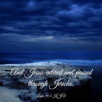 Picture 03 - Luke 19:1 KJV - And Jesus entered and passed through - Bible Verse Picture