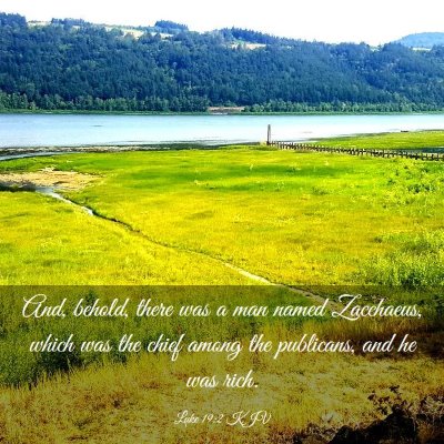 Picture 03 - Luke 19:2 KJV - And, behold, there was a man named Zacchaeus, - Bible Verse Picture