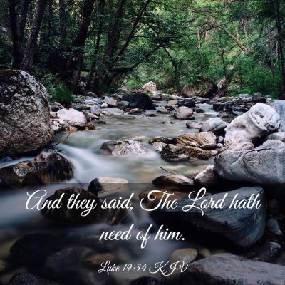 Picture 03 - Luke 19:34 KJV - And they said, The Lord hath need of - Bible Verse Picture